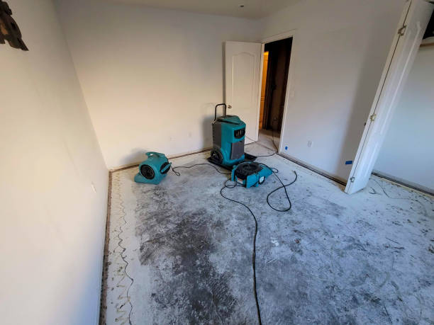 Best Flooded house restoration  in Lake Pocotopaug, CT